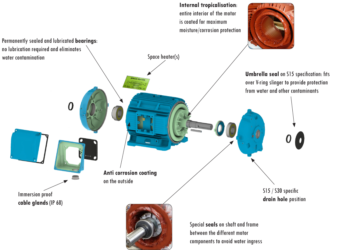 Motor specific features